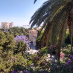Blick von einem Berg. Im Vordergrund sieht man eine Palme udn Blumen. Im Hintergrund kann man Hochhäuser und das Meer sehen