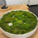 Ein rundes, weißes Holzgestell mir Moos beklebt. Das Werk ist fast fertig, nur vereinzelt ist noch der weiße Boden zu sehen.