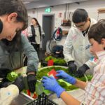 Ein Gruppe Schüler klebt Moos in ein rundes Holzgestell.