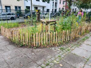 Wildblumenwiese mit niedrigem Holzstabzaun an einem Gehweg vor Wohnhäusern