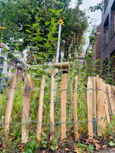Holzzaun aus unregelmäßigen, vertikalen Latten umgibt eine Wildblumenwiese mit hohen Pflanzen zwischen Wohngebäuden und einer Schule.