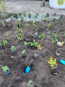 Mehrere kleine Pflanzen in Töpfen stehen auf frisch umgegrabener Erde, in der eine blaue Handschaufel steckt