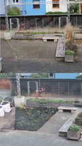 Zwei übereinander gezeigte Fotos eines Schulhofes mit Holzbänken und Pflanzbeeten, oben mit ungenutztem Boden, unten mit frisch bepflanztem Beet